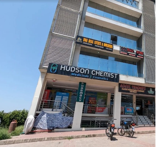 Hudson Chemist