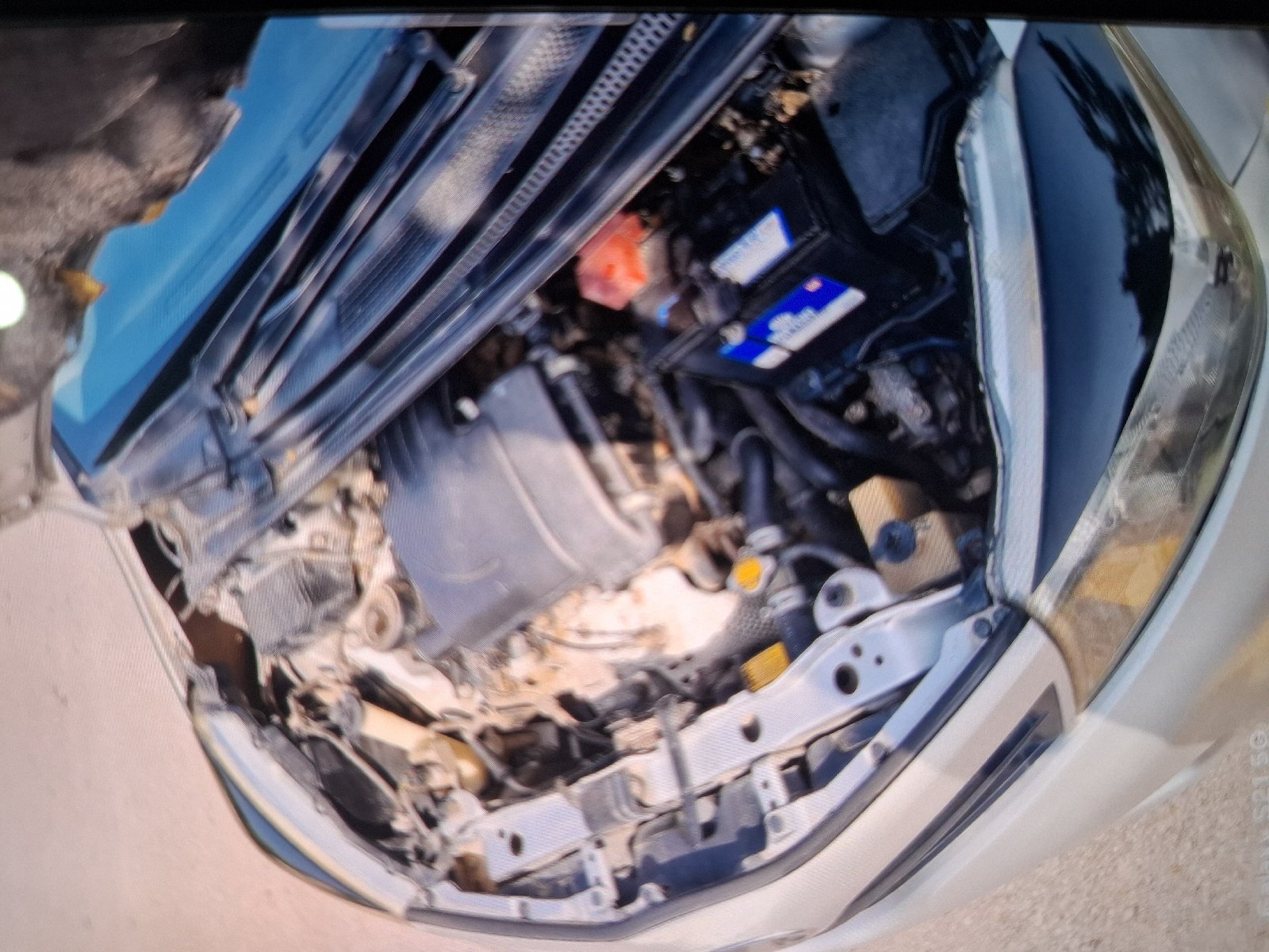 2014 Toyota 2011 F 1.0