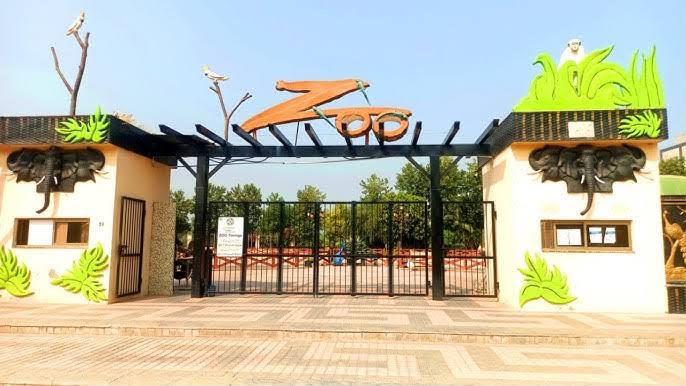 Bahria Enclave Zoo Islamabad – A Family-Friendly Wildlife Experience